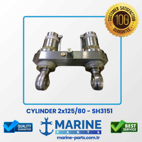 Cylinder 2X125/80 – Sh3151 – Semer Komple