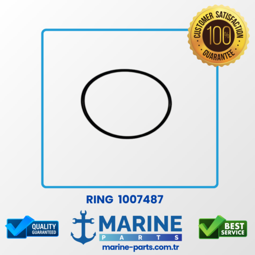 Ring – 1007487 – Ring 80X3Mm