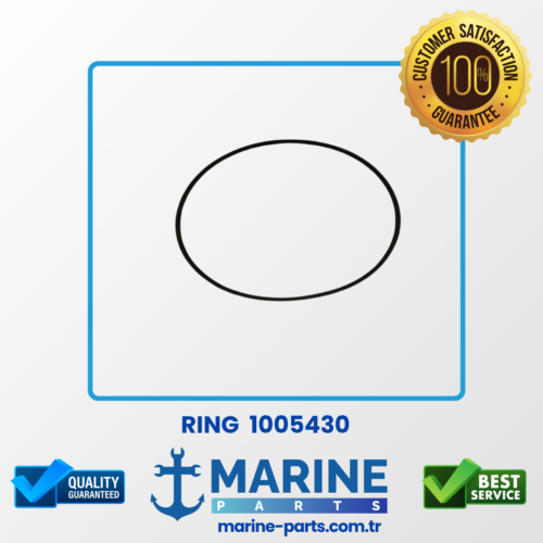 Ring – 1005430 – Armuz Oringi  295X5,75Mm