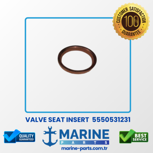 Valve Seat Insert – 5550531231 – Emme Valf Siti Std